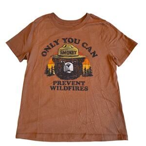 Smokey Bear Prevent Wildfires Brown Graphic T-Shirt Small Retro Nature Core